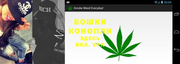 ПСИЛОЦИБИНОВЫЕ ГРИБЫ Снежногорск