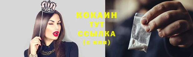 Альфа ПВП Горнозаводск
