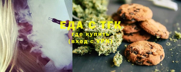 СК Горняк