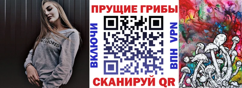 продажа наркотиков Ивангород Галлюциногенные грибы Cubensis